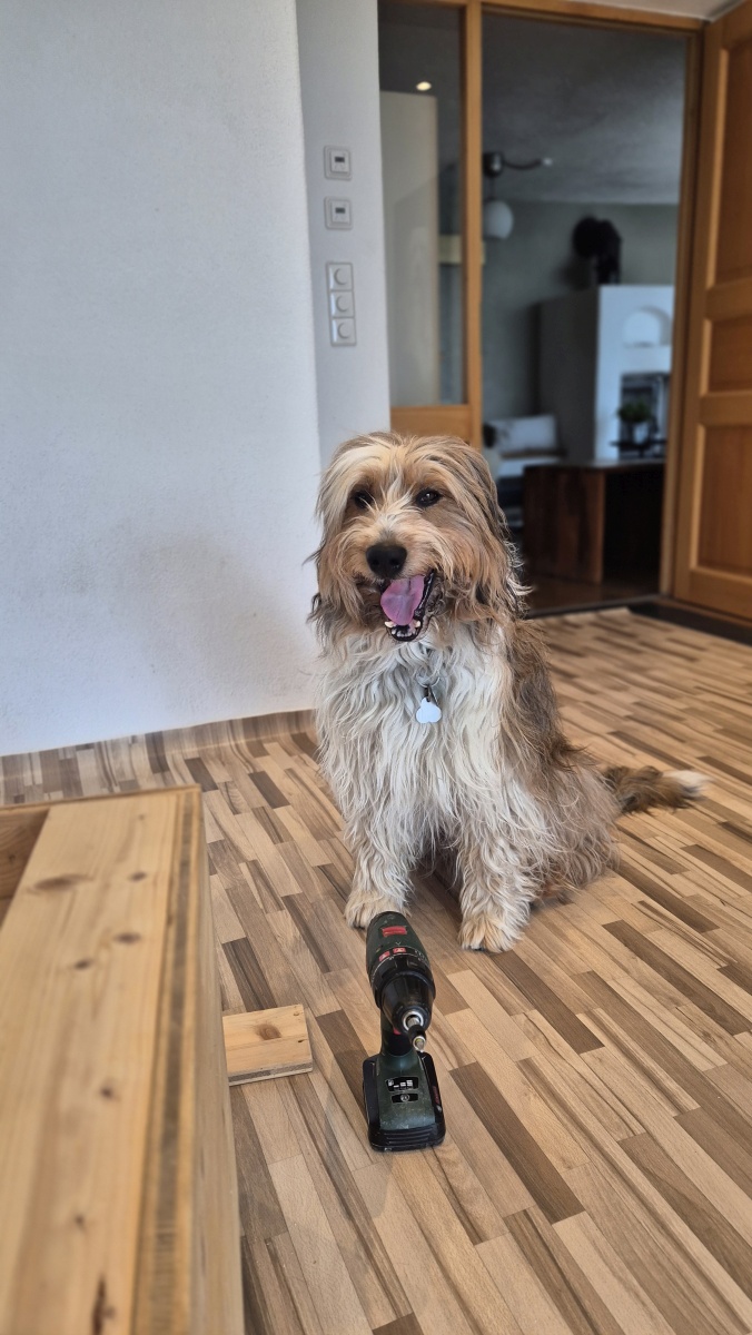 Bailey-von-der-Straubenhalde-2025